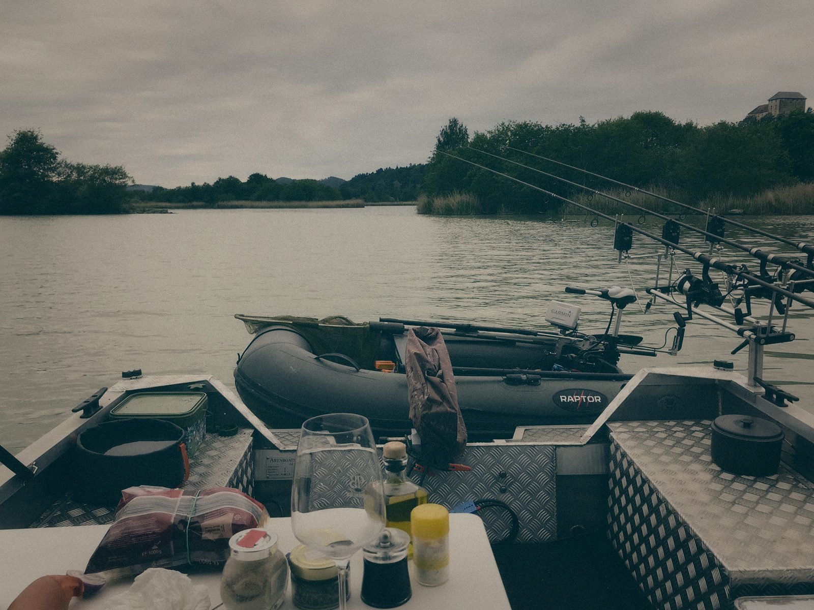 Styria Carp