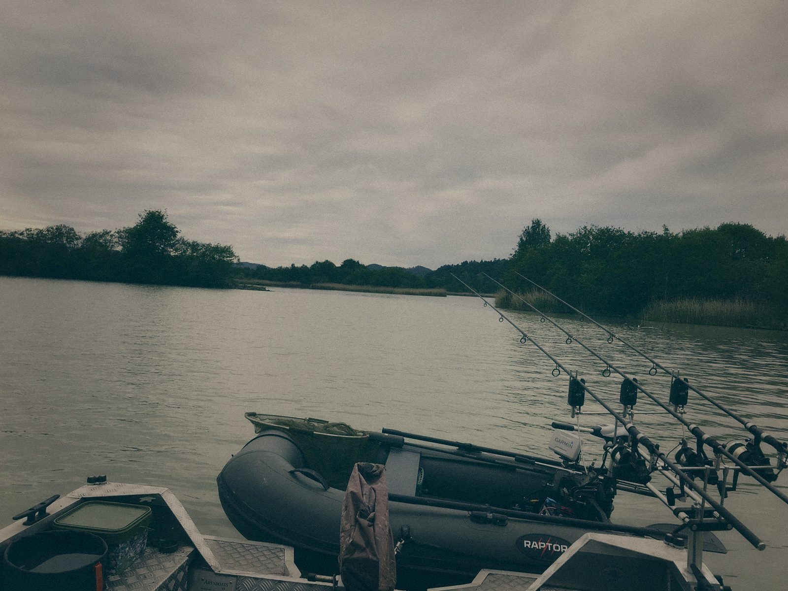 Styria Carp