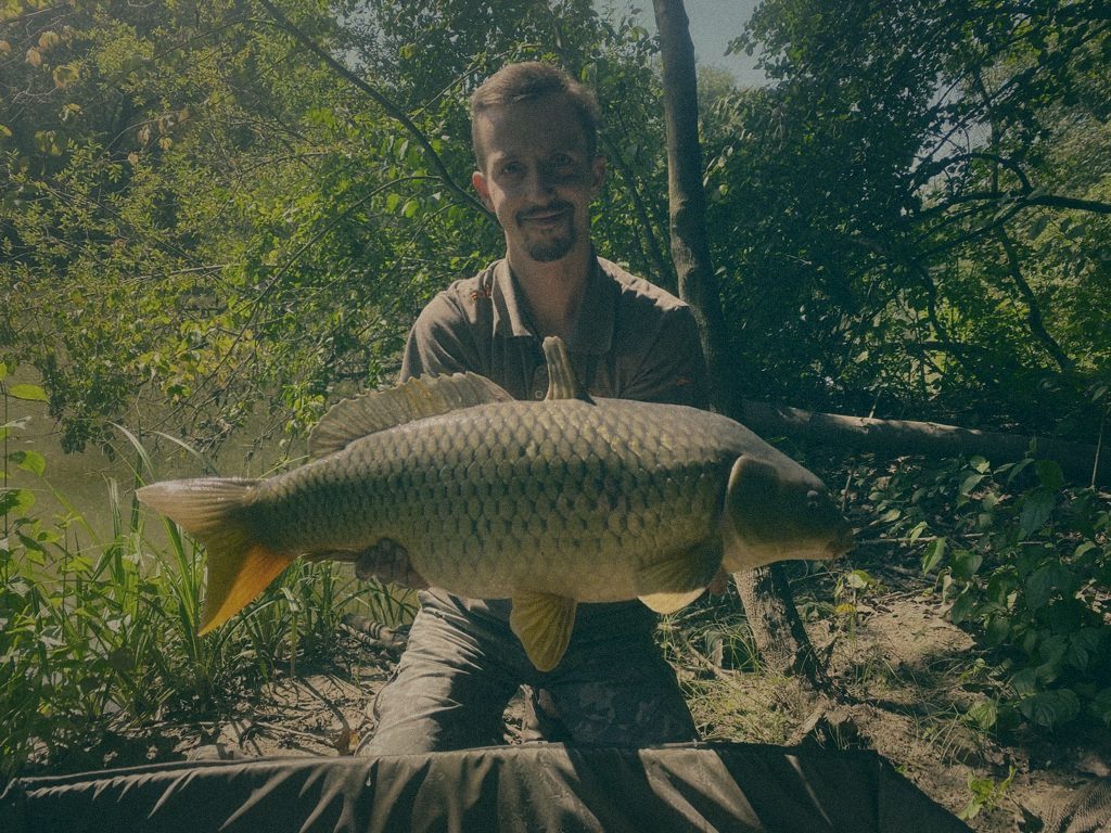 Styria Carp