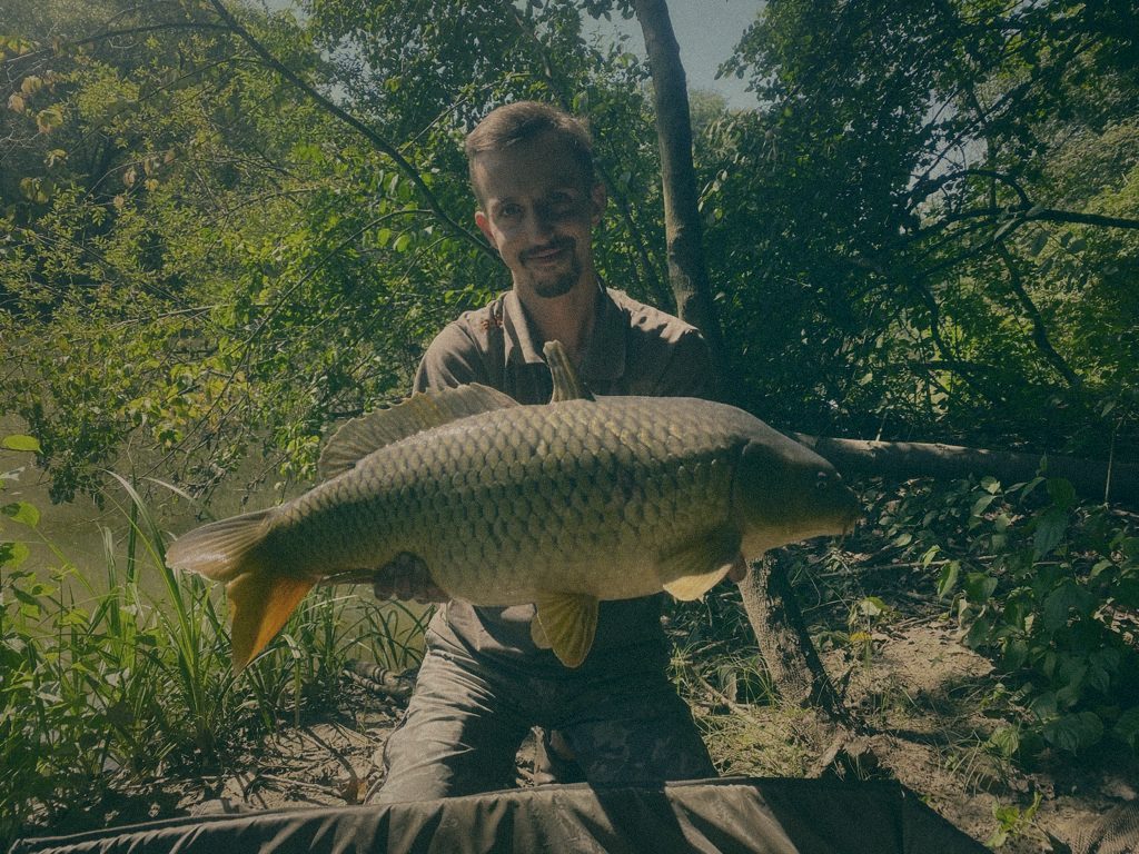 Styria Carp