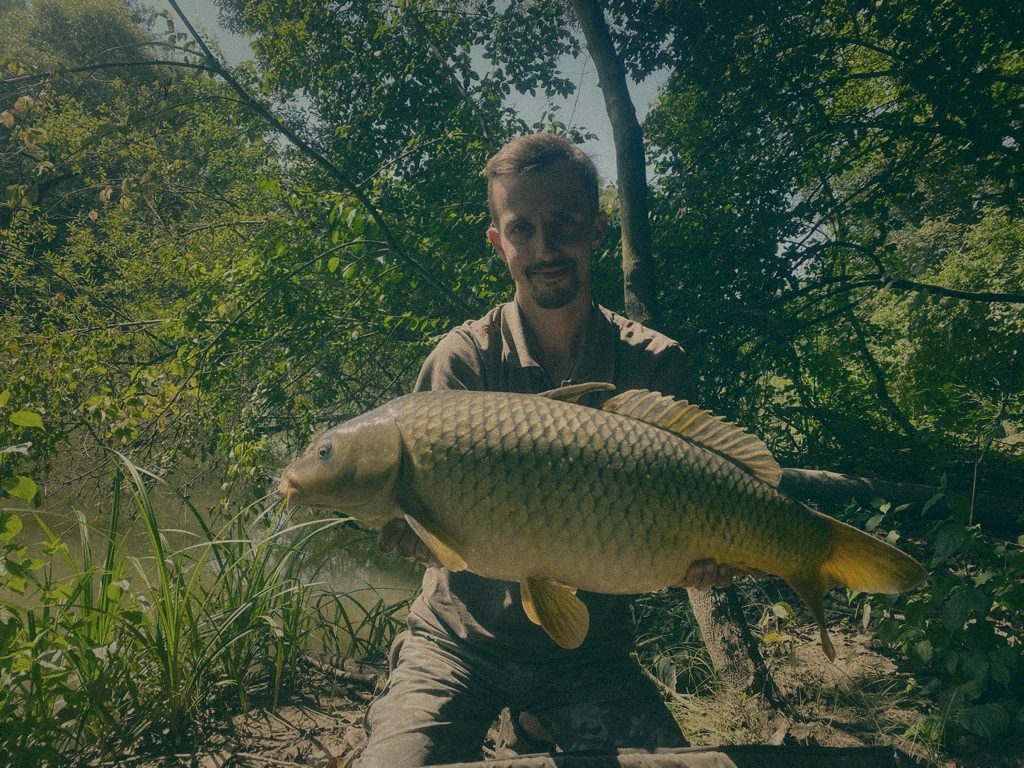 Styria Carp