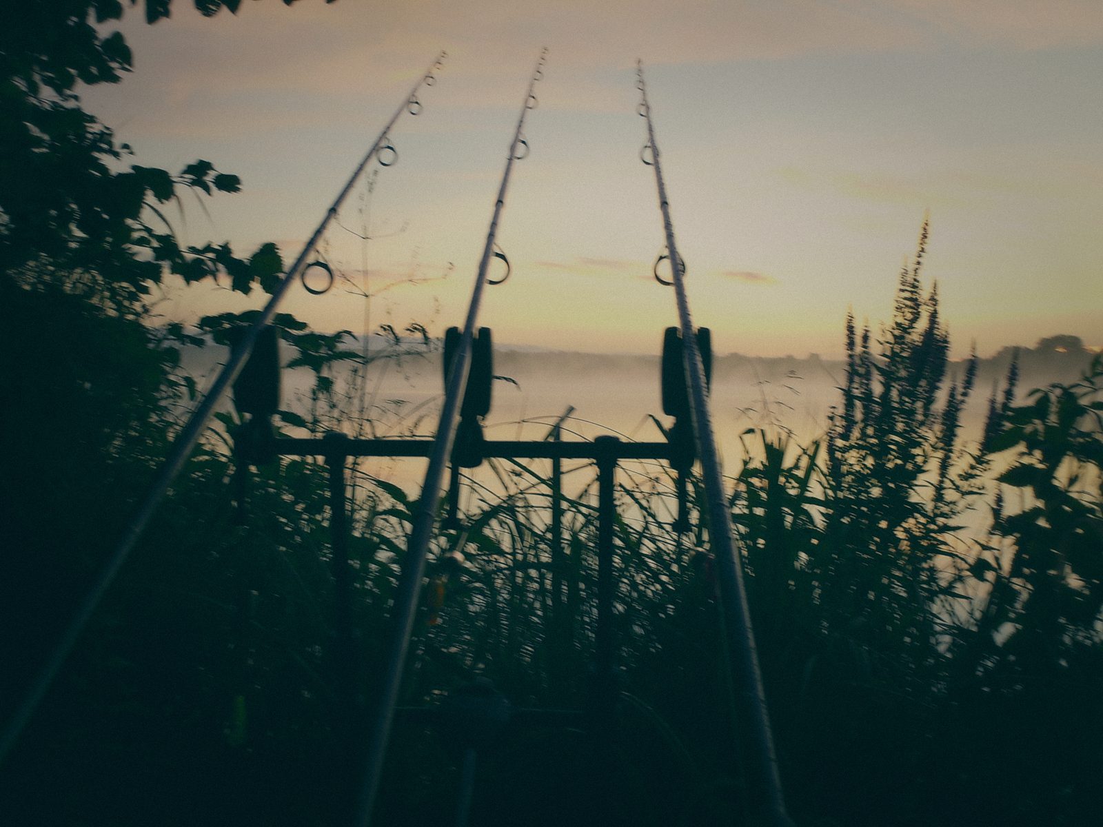 Styria Carp 2017