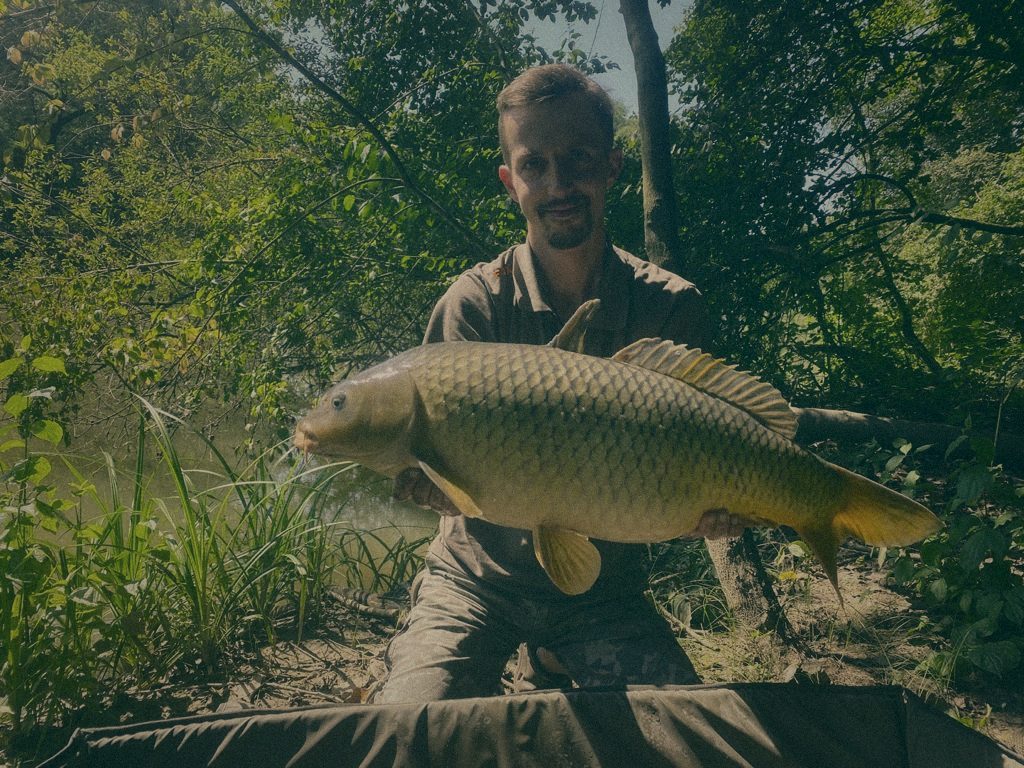 Styria Carp
