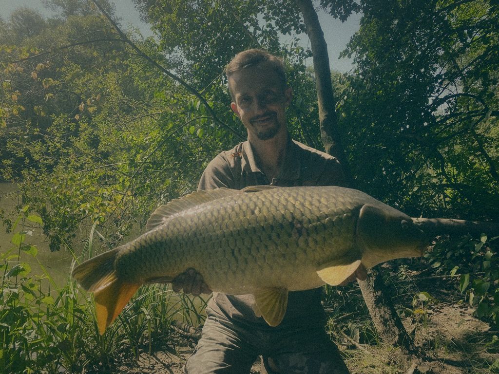 Styria Carp