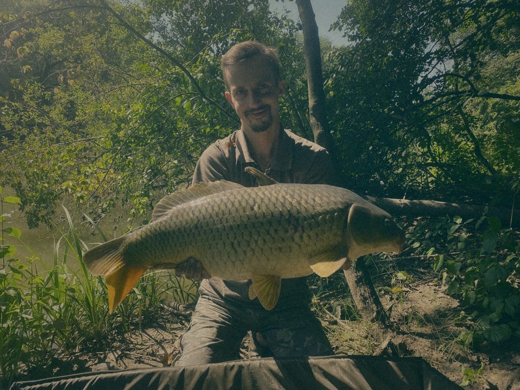 Styria Carp