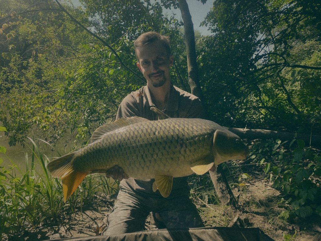 Styria Carp