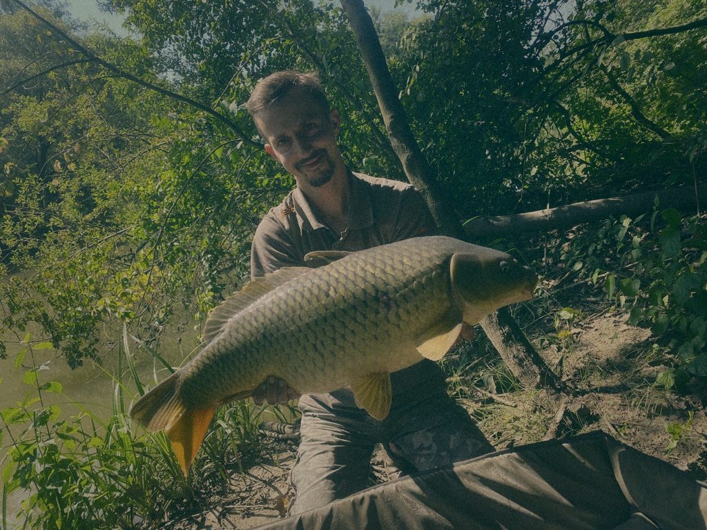 Styria Carp