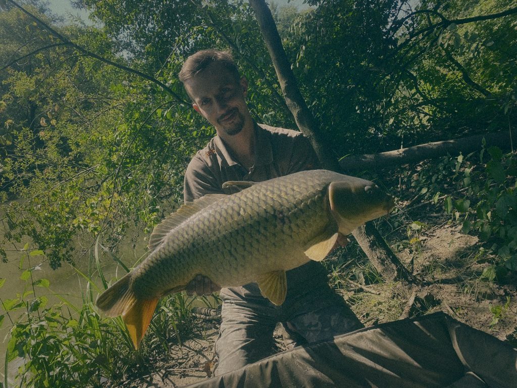 Styria Carp