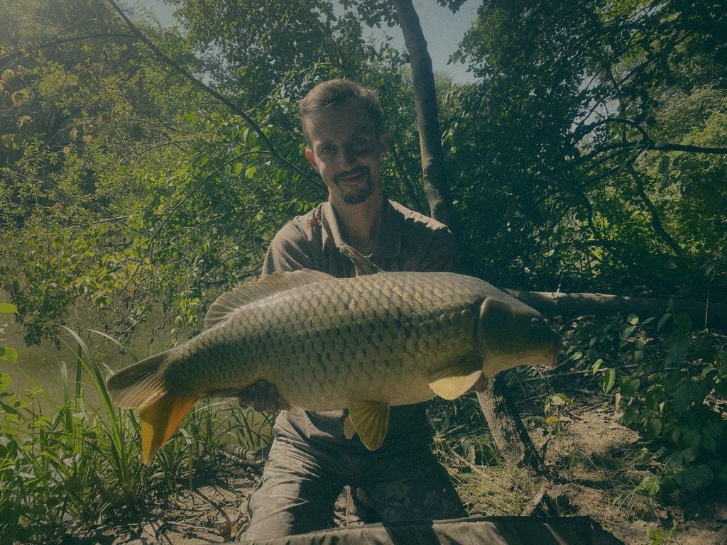 Styria Carp