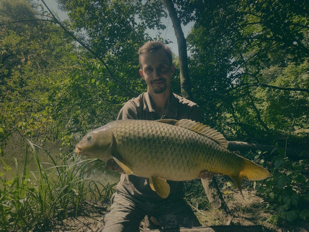 Styria Carp