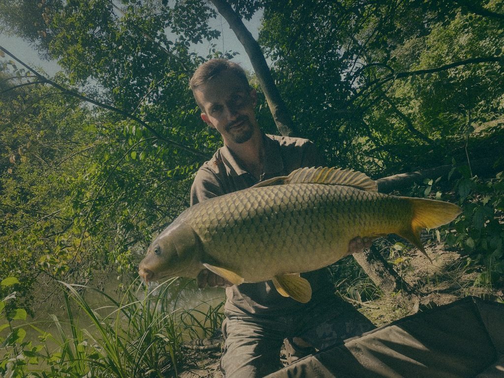 Styria Carp