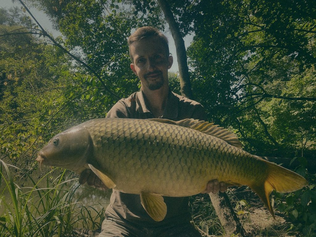 Styria Carp