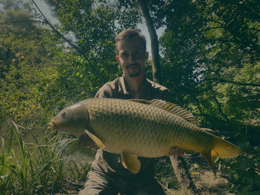 Styria Carp