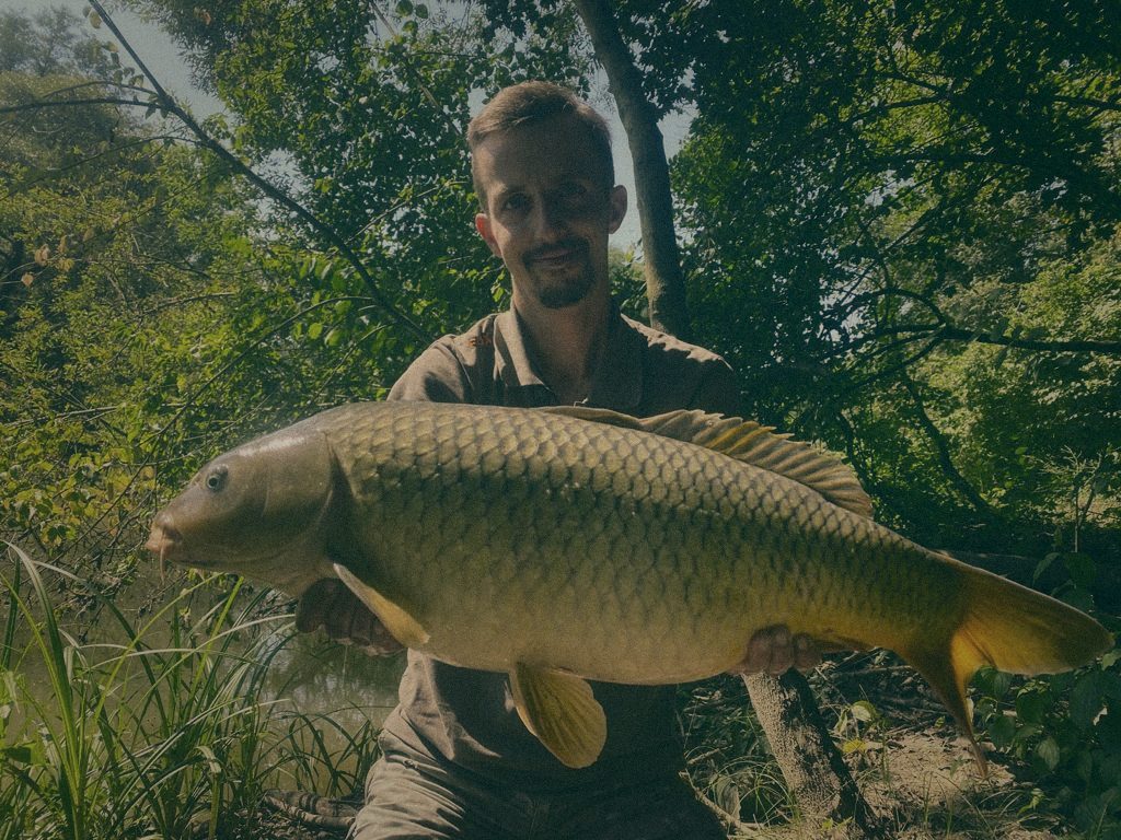 Styria Carp