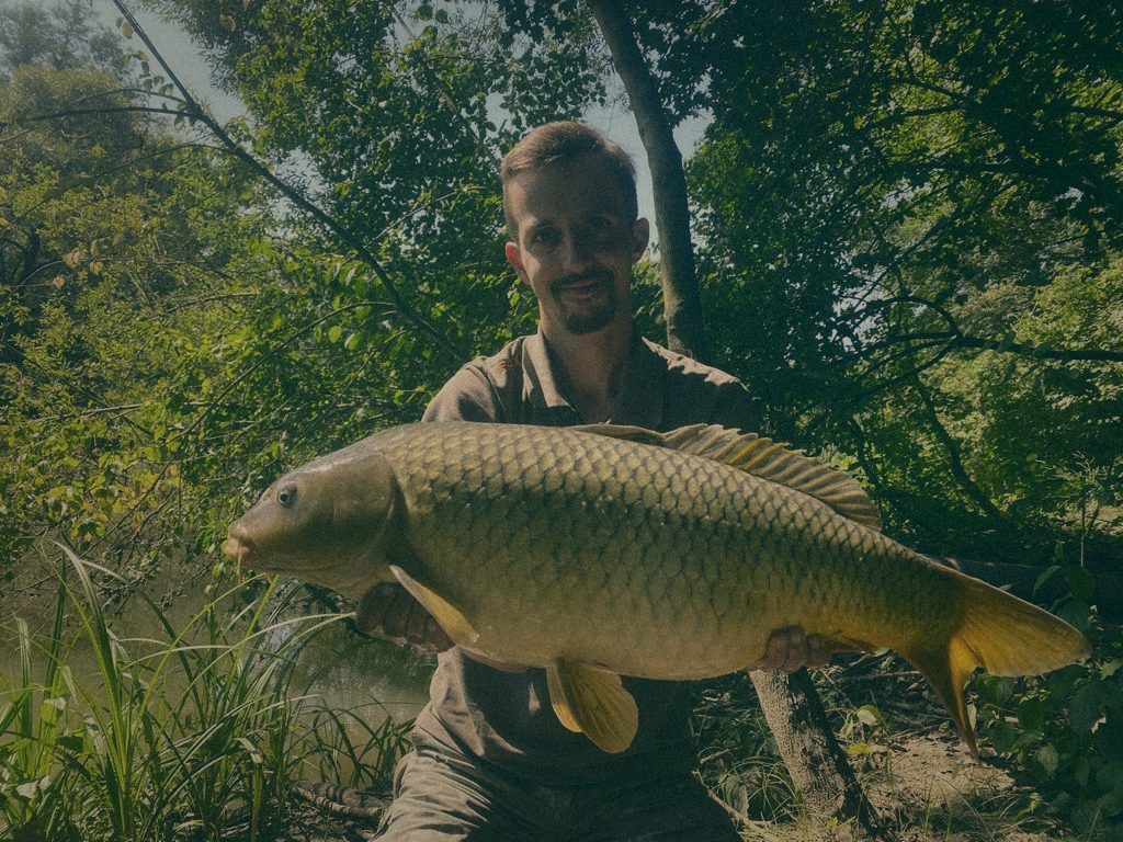 Styria Carp