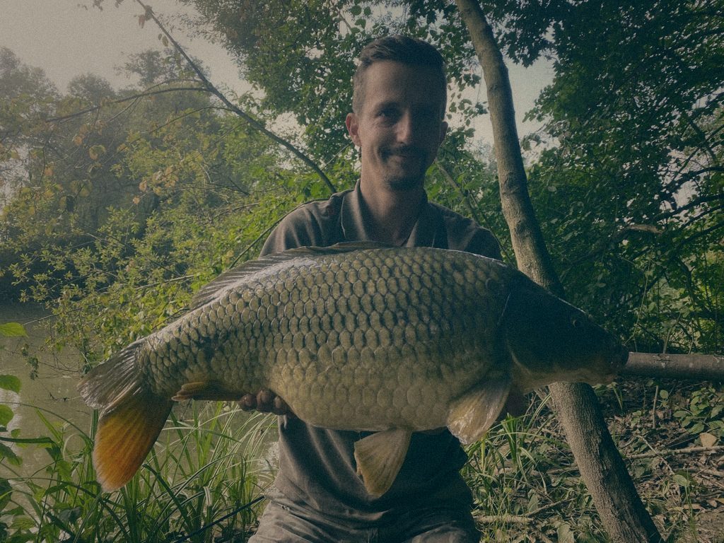 Styria Carp