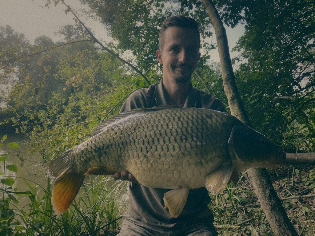 Styria Carp