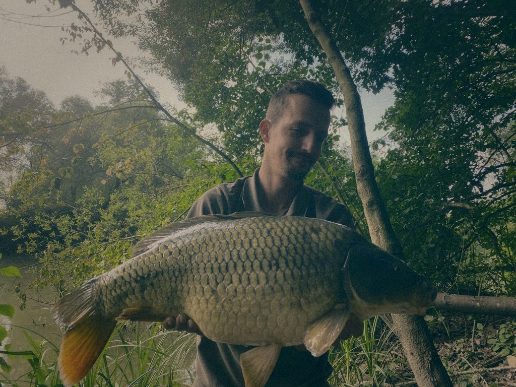 Styria Carp