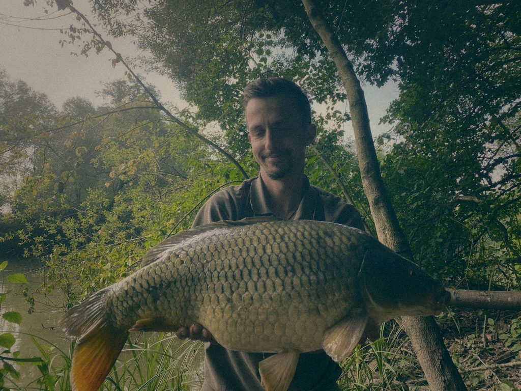 Styria Carp