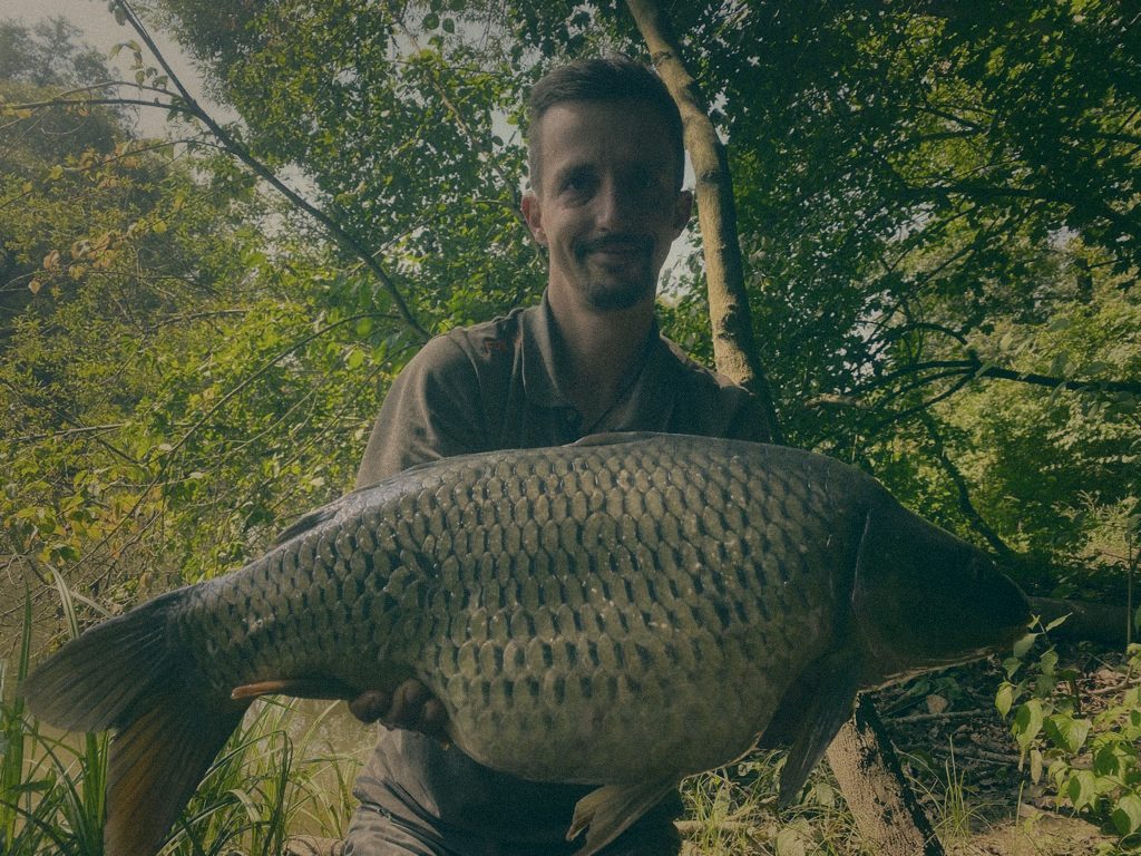 Styria Carp