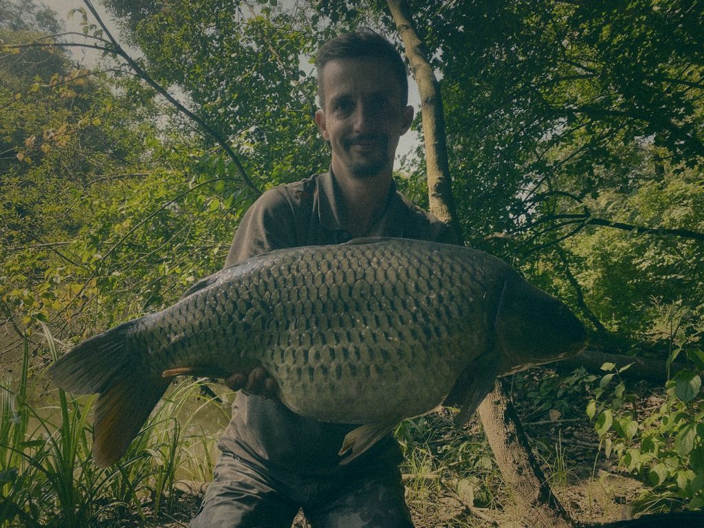 Styria Carp
