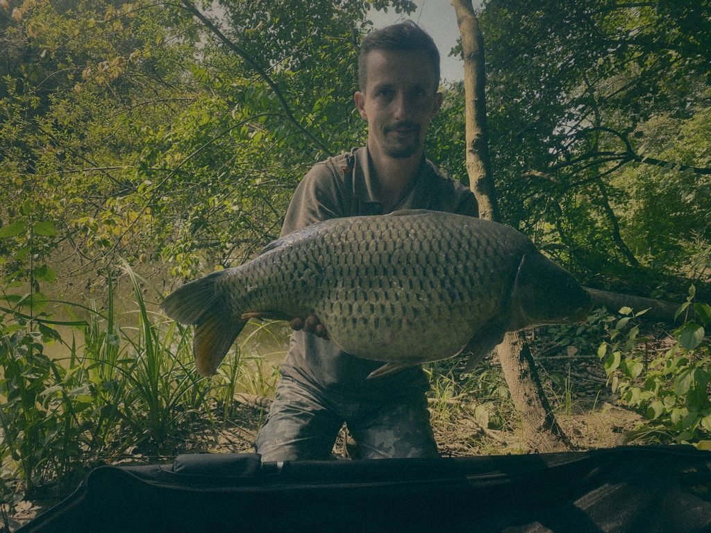 Styria Carp