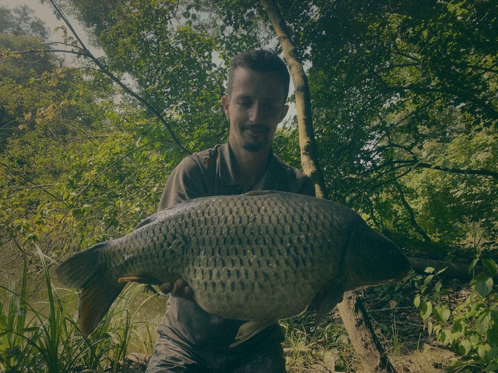 Styria Carp