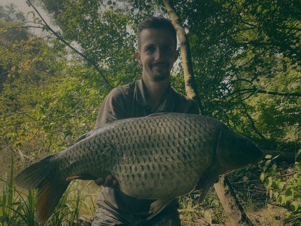Styria Carp