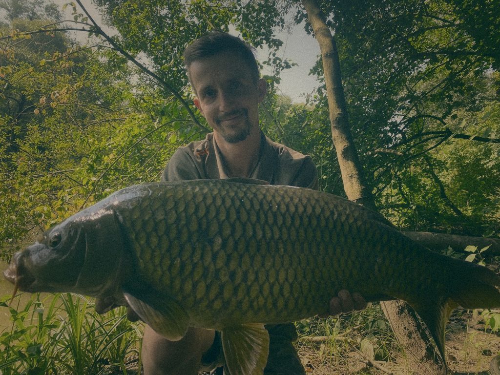 Styria Carp