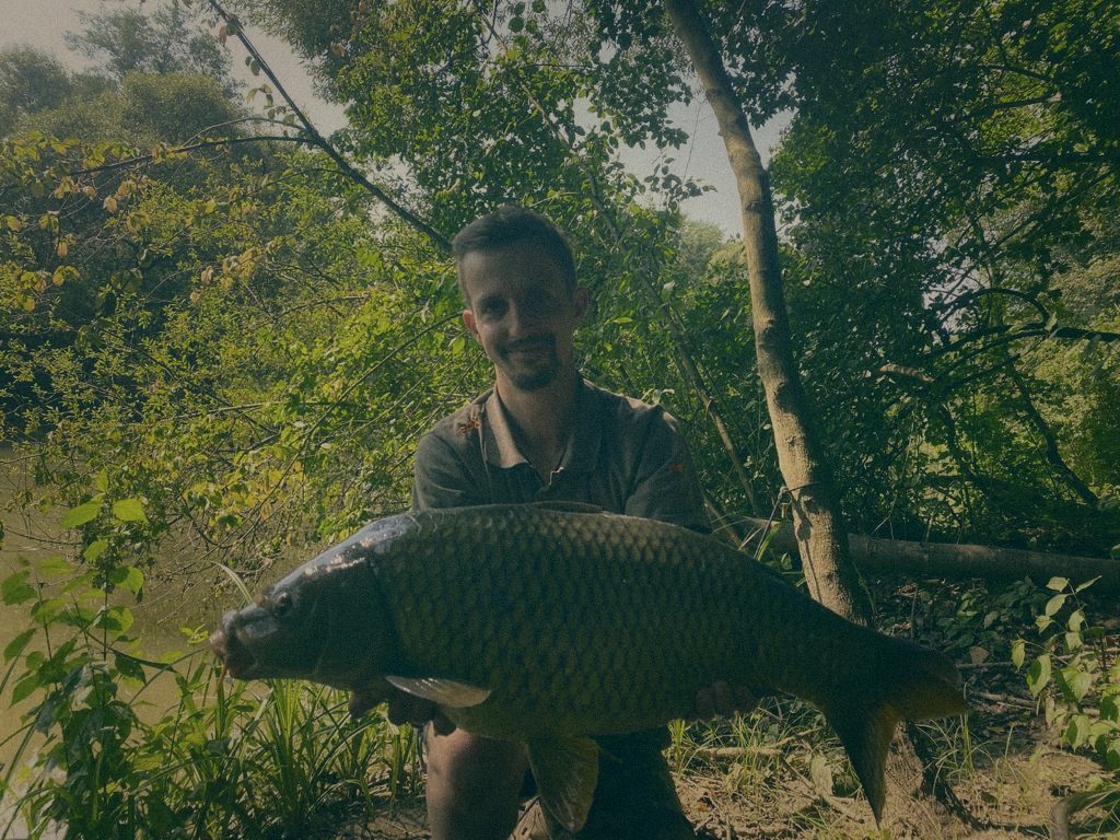 Styria Carp