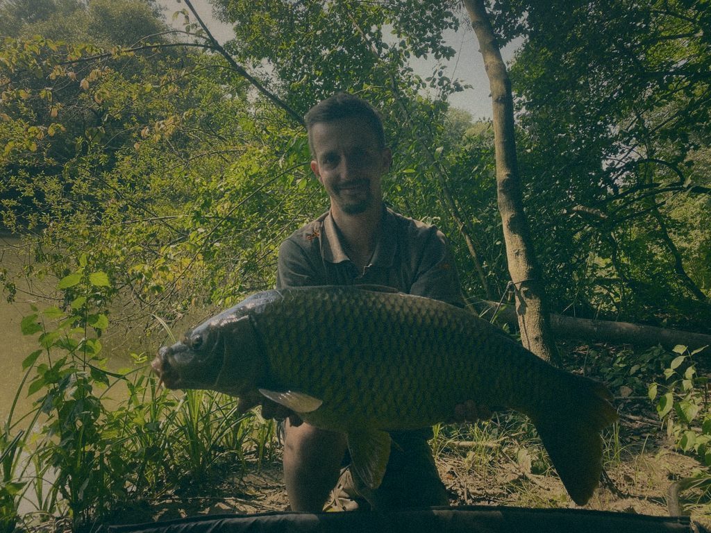 Styria Carp