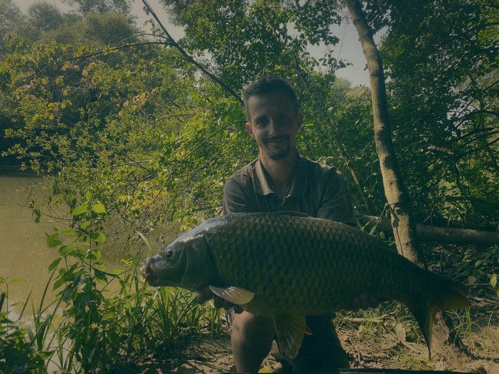 Styria Carp