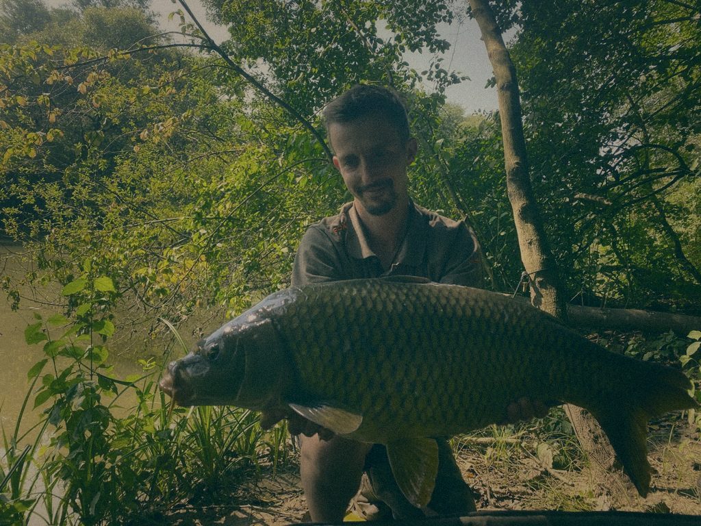 Styria Carp