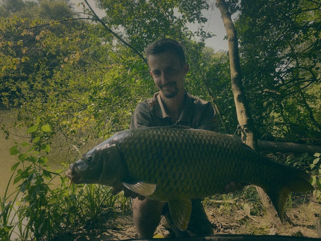Styria Carp