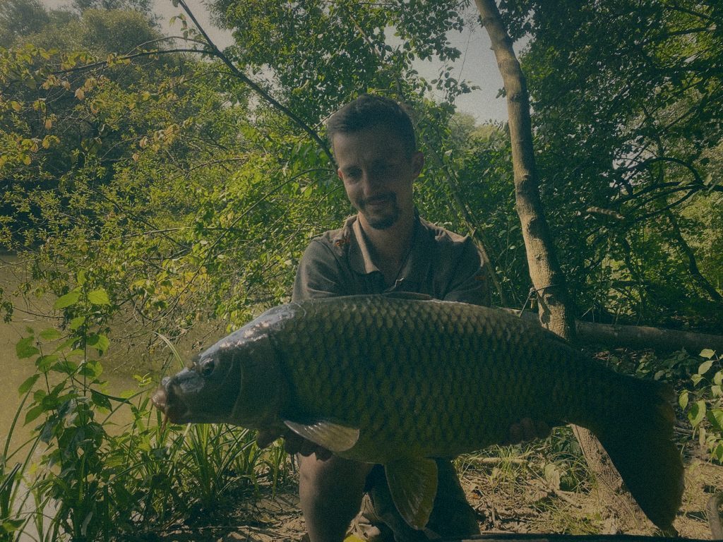 Styria Carp