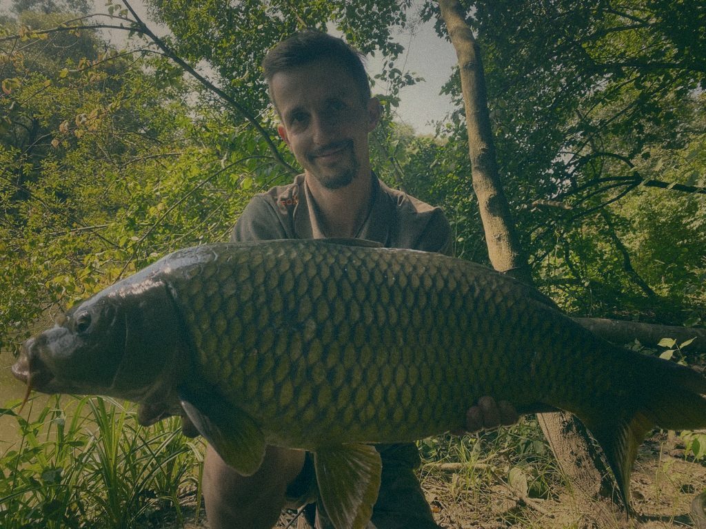 Styria Carp