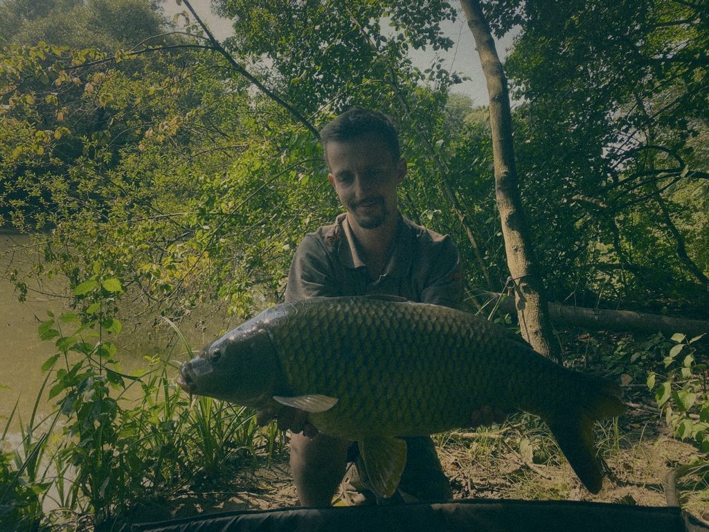 Styria Carp