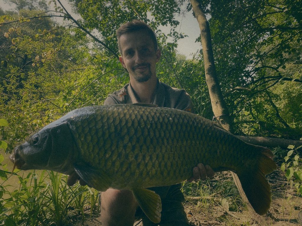 Styria Carp