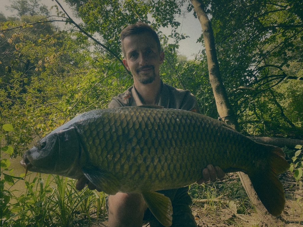 Styria Carp