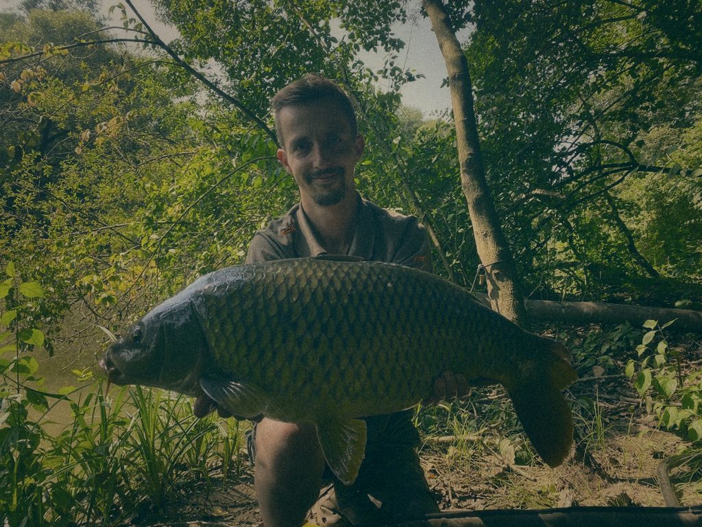 Styria Carp