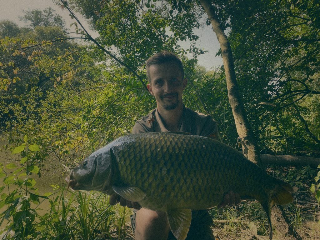 Styria Carp