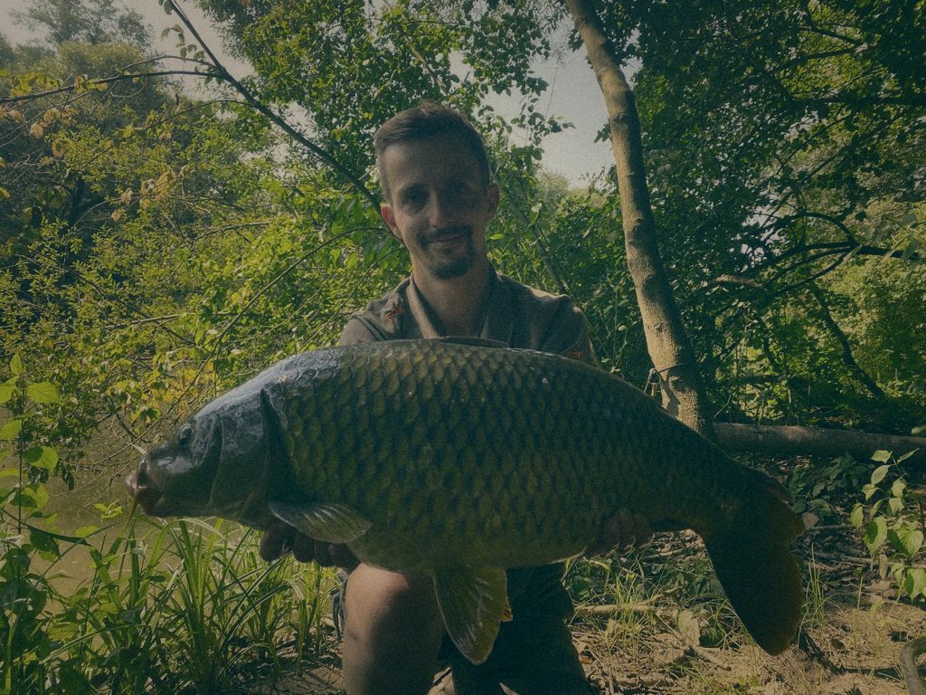 Styria Carp