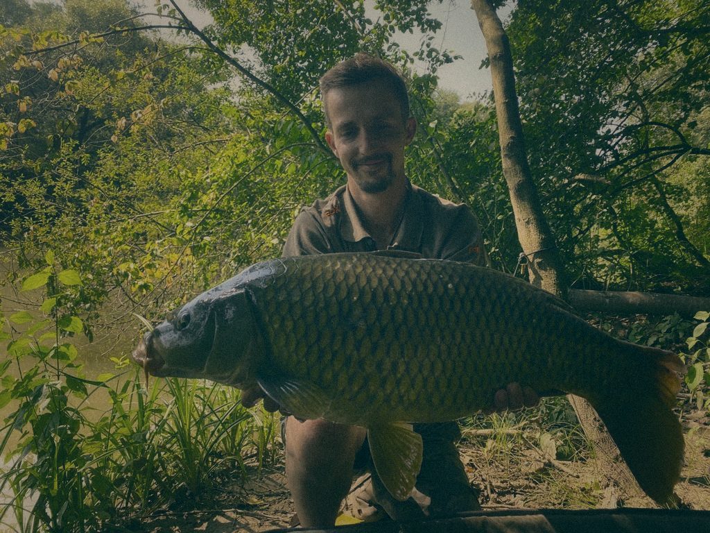 Styria Carp