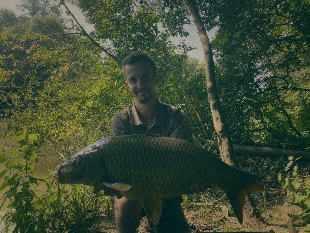 Styria Carp