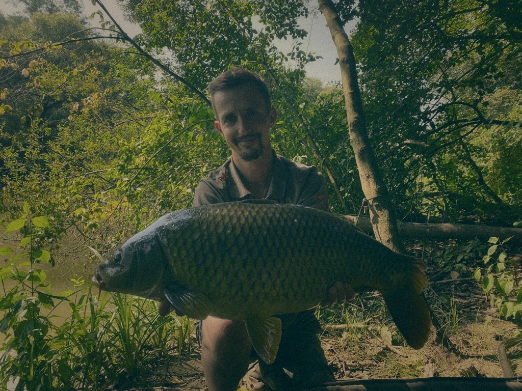 Styria Carp