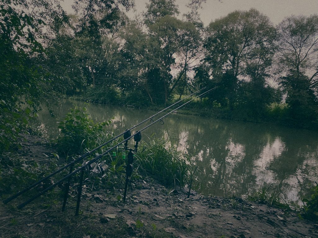 Styria Carp