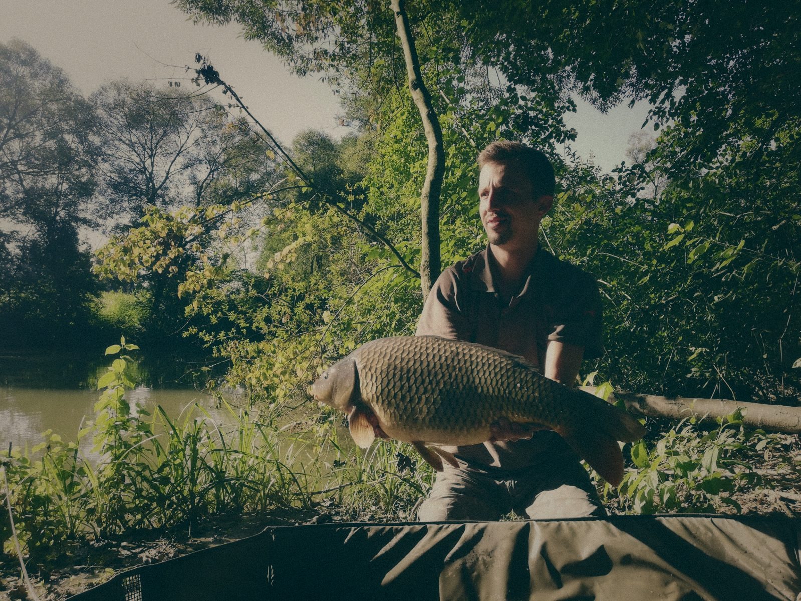 Styria Carp