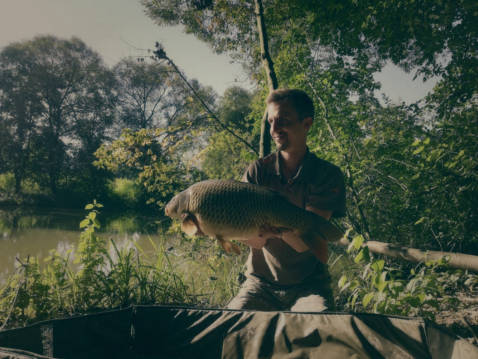 Styria Carp