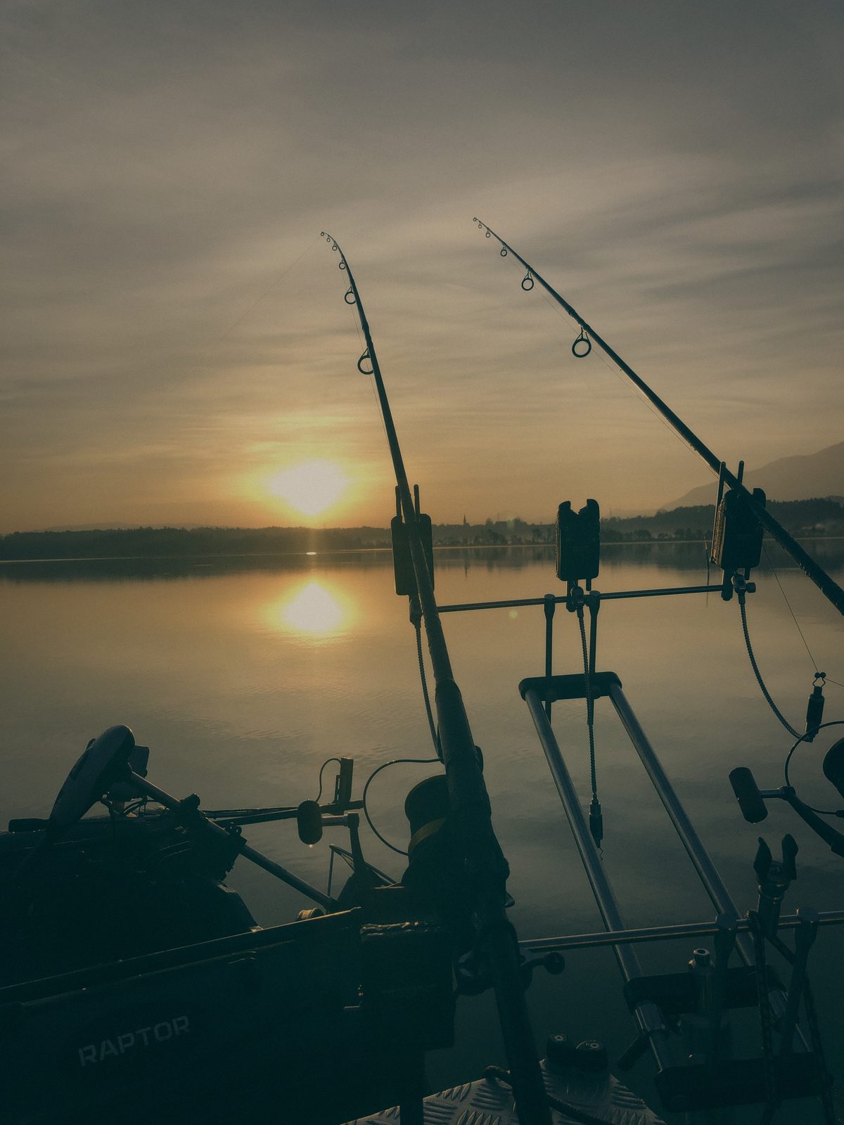 Styria Carp