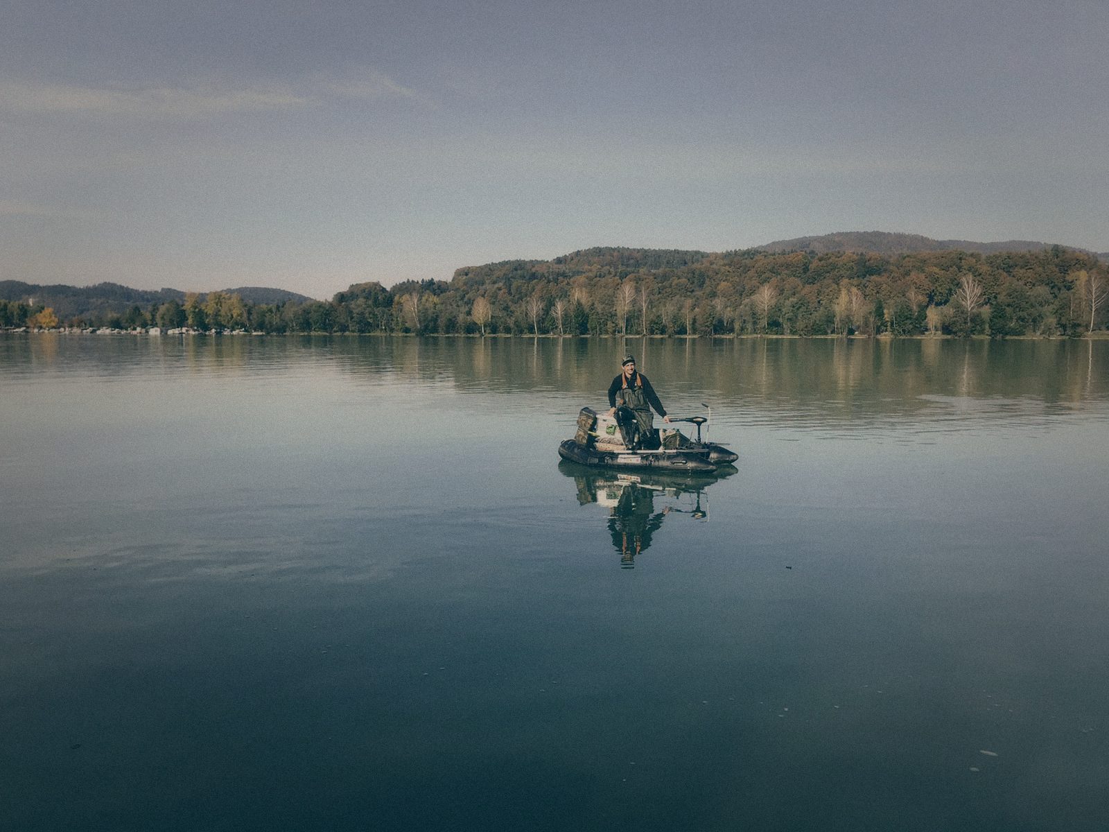 Styria Carp